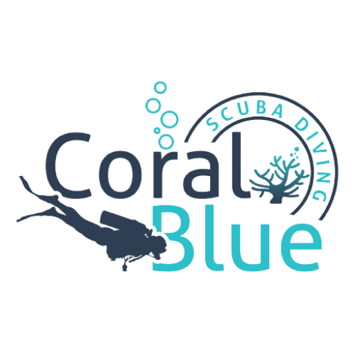 Coral Blue Scuba Diving and Watersports in Goa