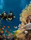 scuba-diving-in-vasco-scuba-diving-price-in-goa